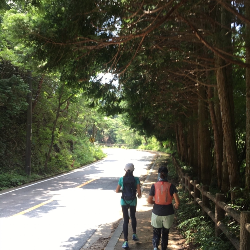 六甲摩耶山　六甲山牧場でソフトクリーム♪の写真4