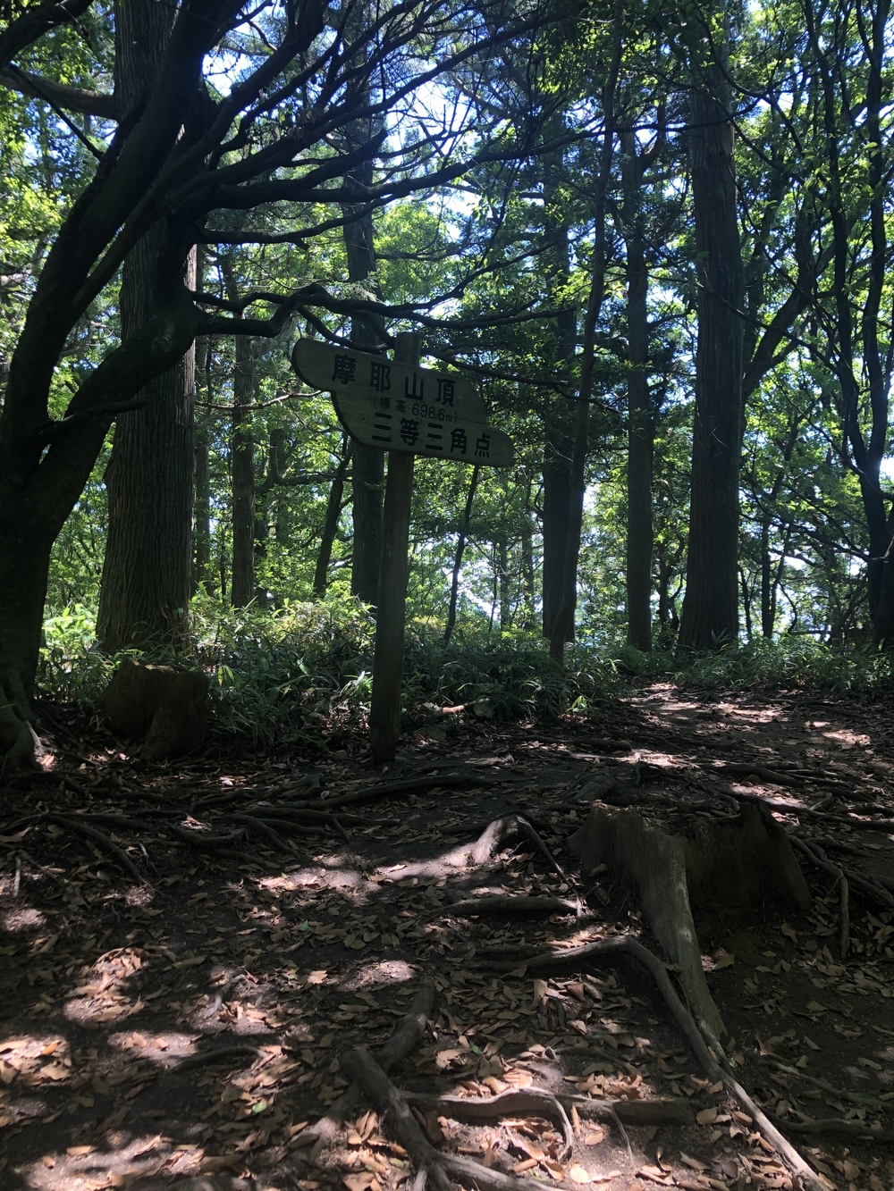 六甲摩耶山　六甲山牧場でソフトクリーム♪の写真5