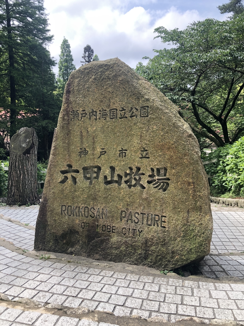 六甲摩耶山　六甲山牧場でソフトクリーム♪の写真6