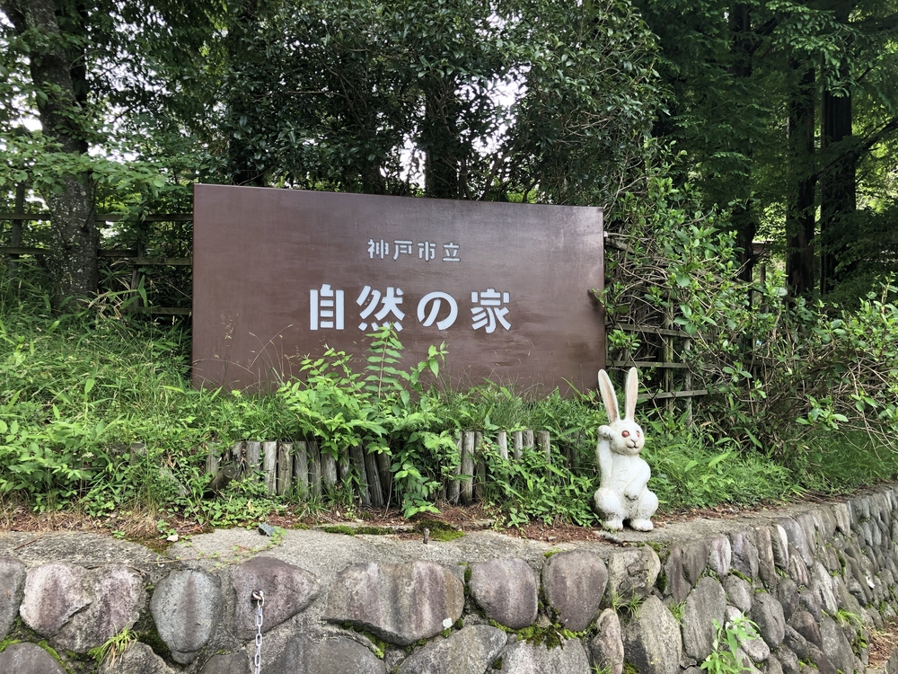 六甲摩耶山　六甲山牧場でソフトクリーム♪の写真7