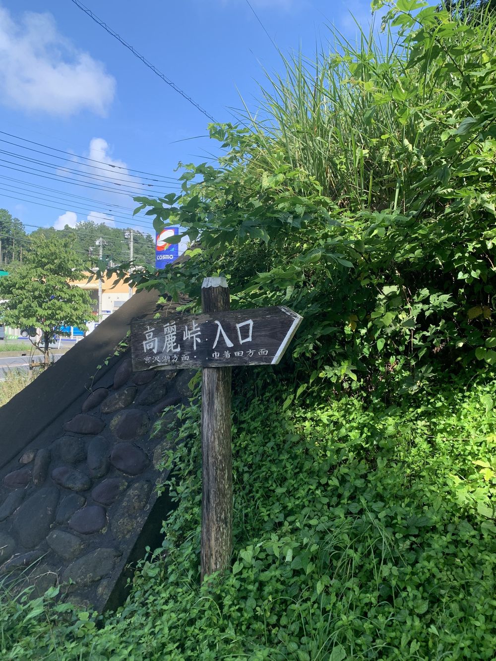 【飯能駅発着】　奥武蔵 飯能トレイル18.8Kの写真4