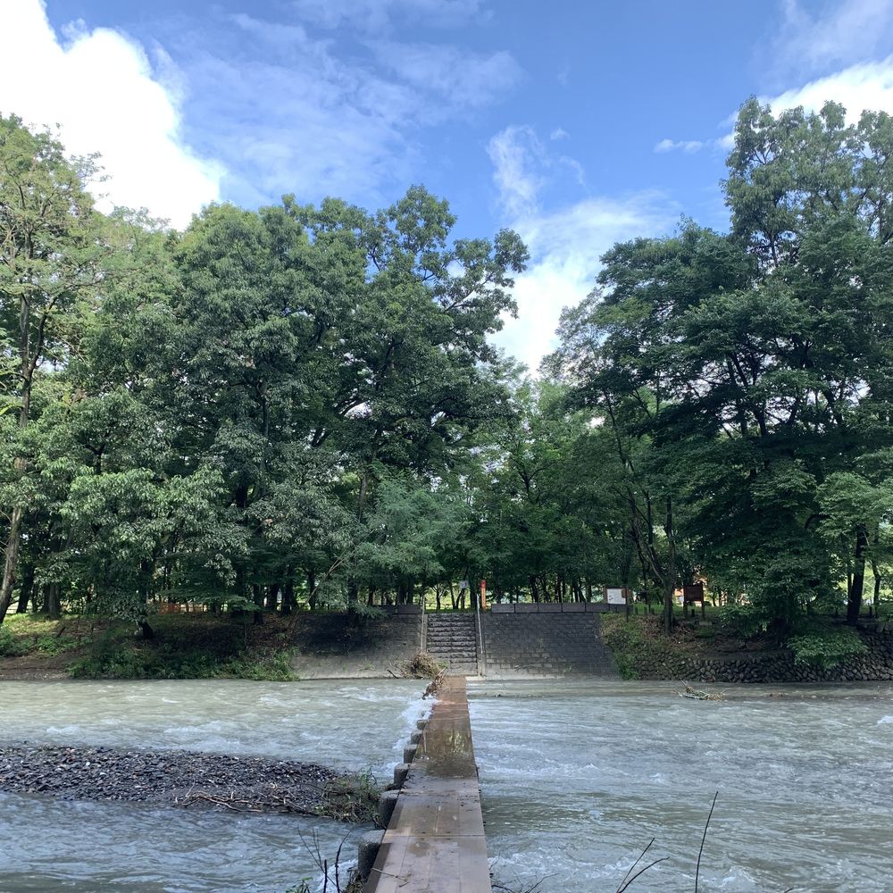 【飯能駅発着】　奥武蔵 飯能トレイル18.8Kの写真5