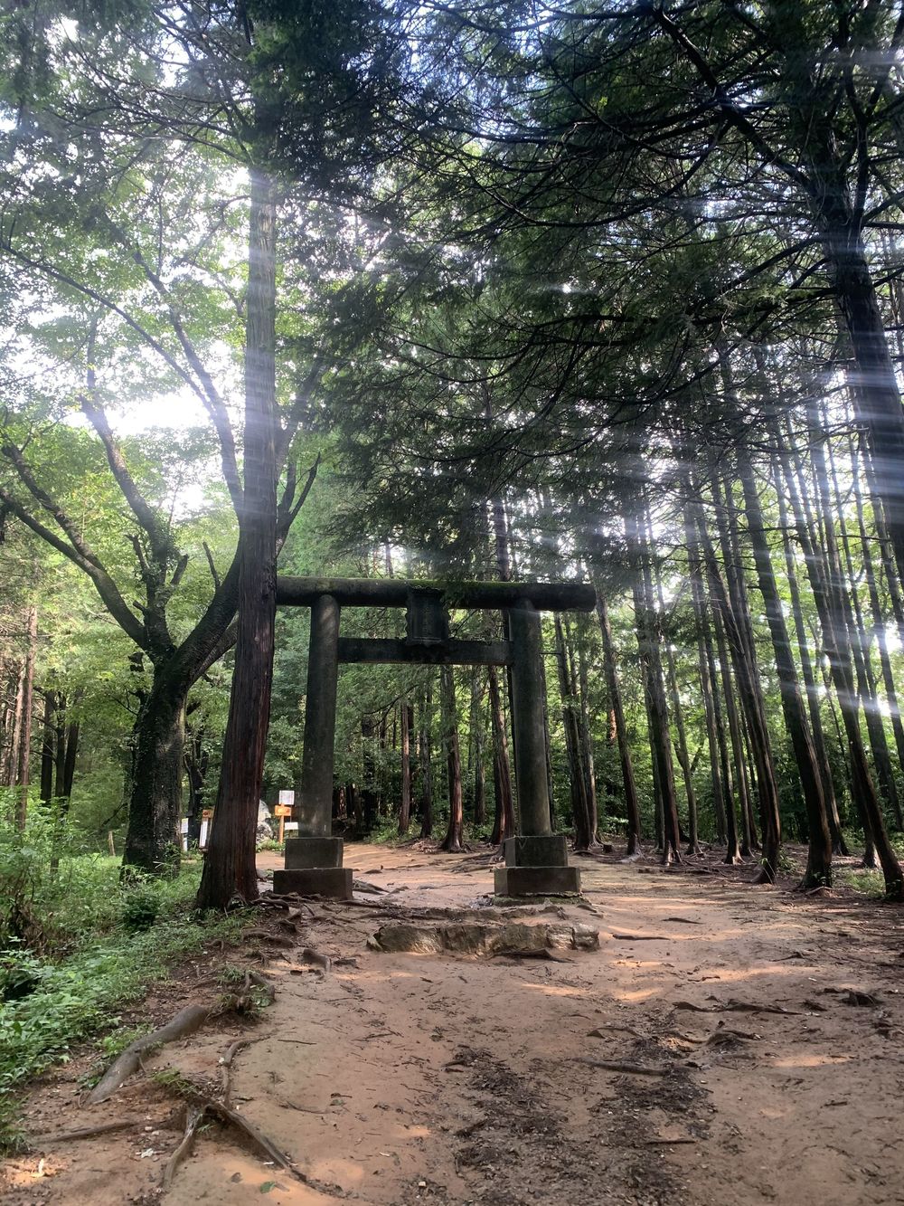 【飯能駅発着】　奥武蔵 飯能トレイル18.8Kの写真6