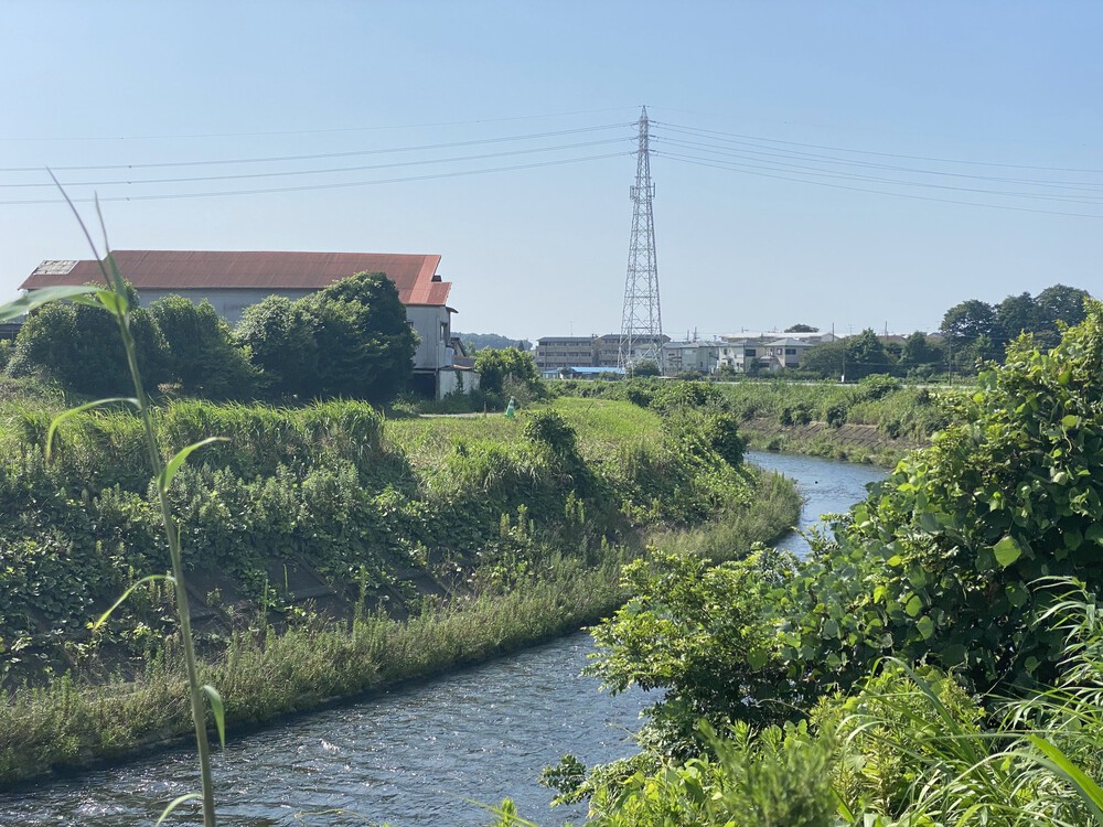 境川ラン from 大和ゆとりの森　江ノ島が見えてきたの写真3