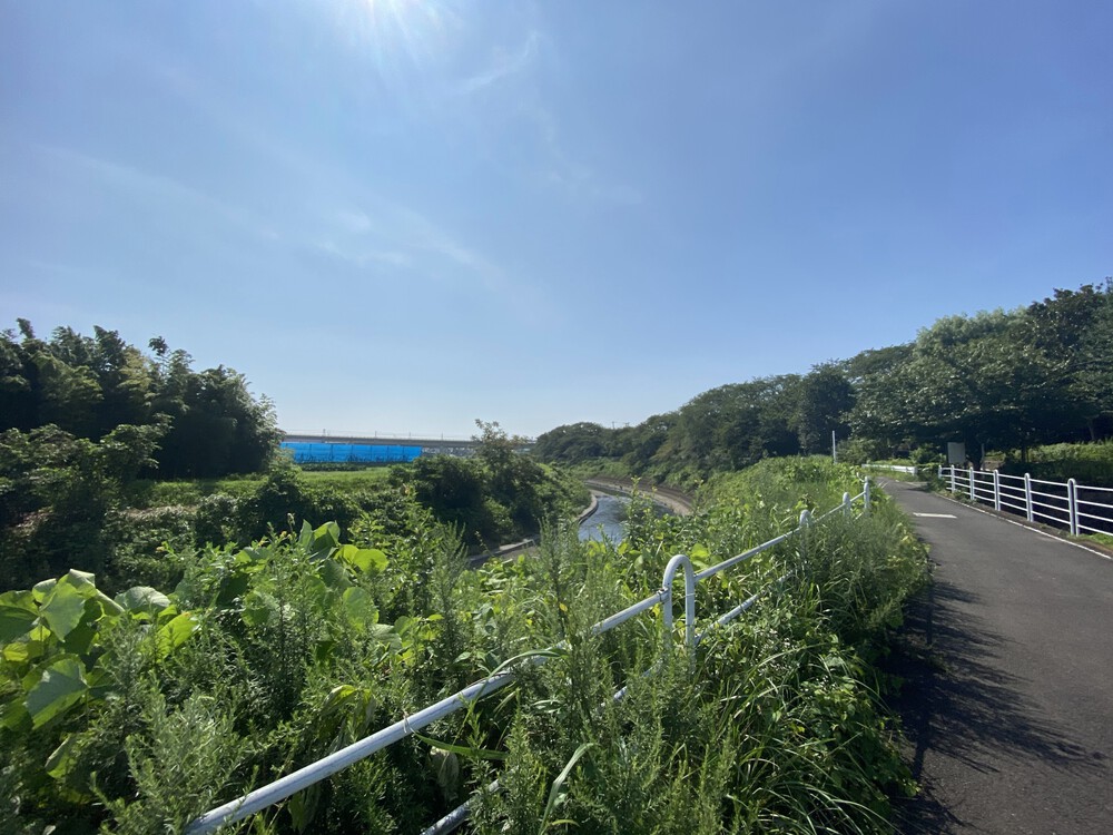 境川ラン from 大和ゆとりの森　江ノ島が見えてきたの写真4