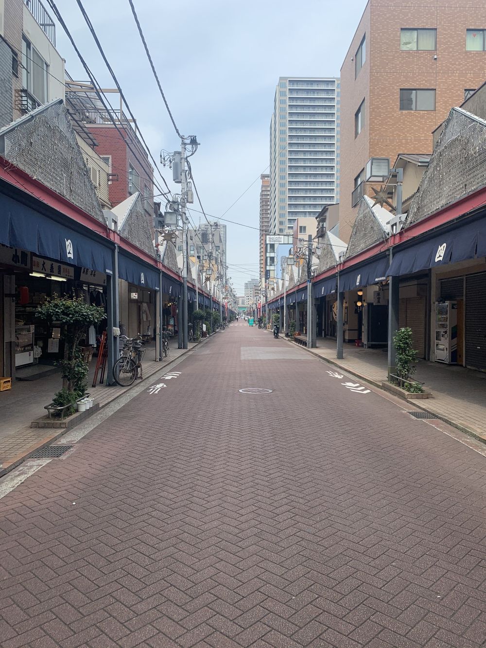 歌川広重と共にRUN 佃島の写真7