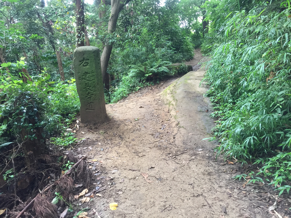 夏ラン! 港南台〜鵠沼海岸の写真4