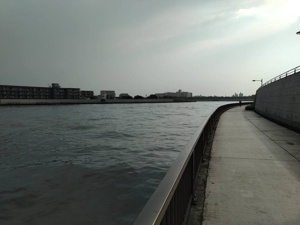 江戸川 葛飾　川沿い周遊コースの写真3