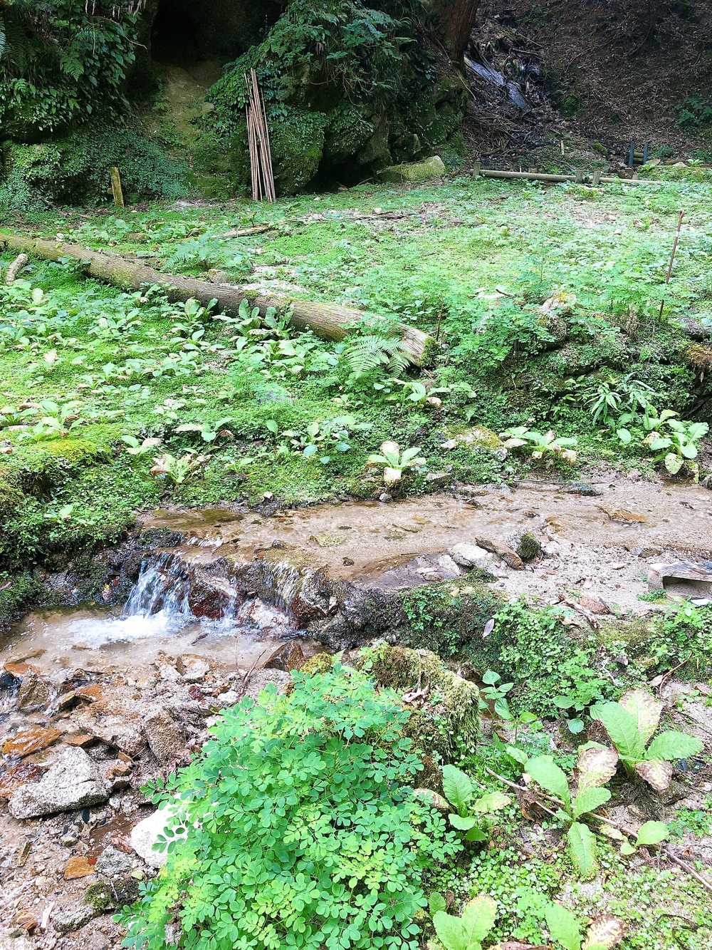 京都と滋賀の間にある比叡山をぐるっと。の写真3