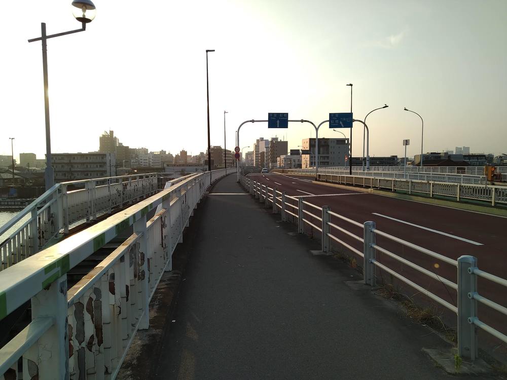 新中川 旧江戸川 江戸川 周遊ハーフコースの写真3