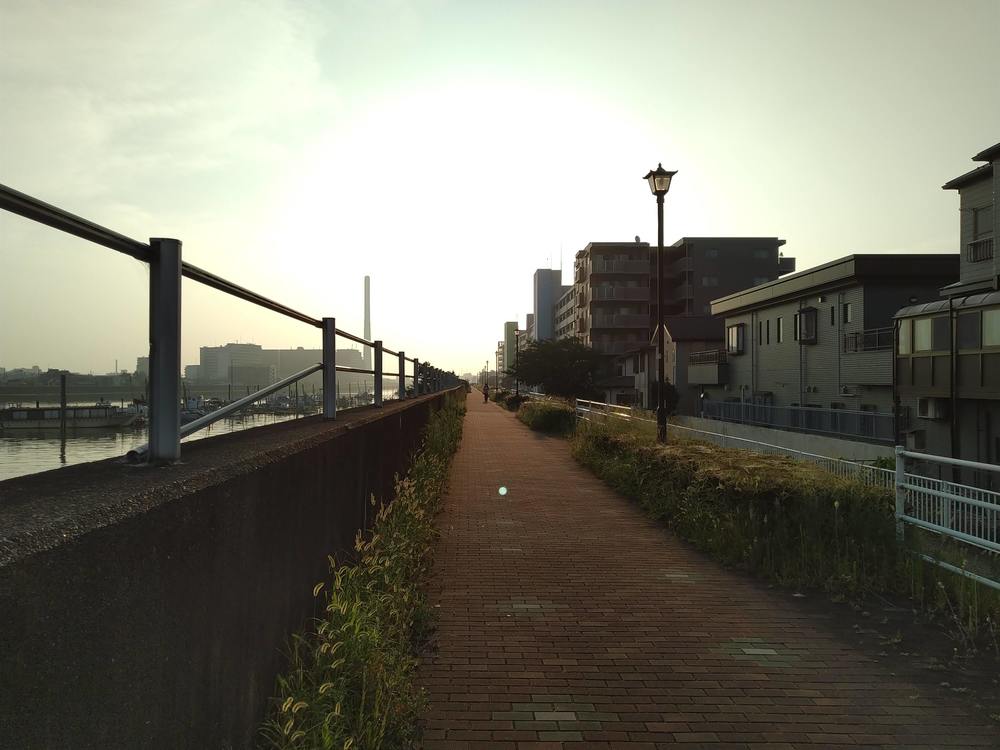 新中川 旧江戸川 江戸川 周遊ハーフコースの写真4