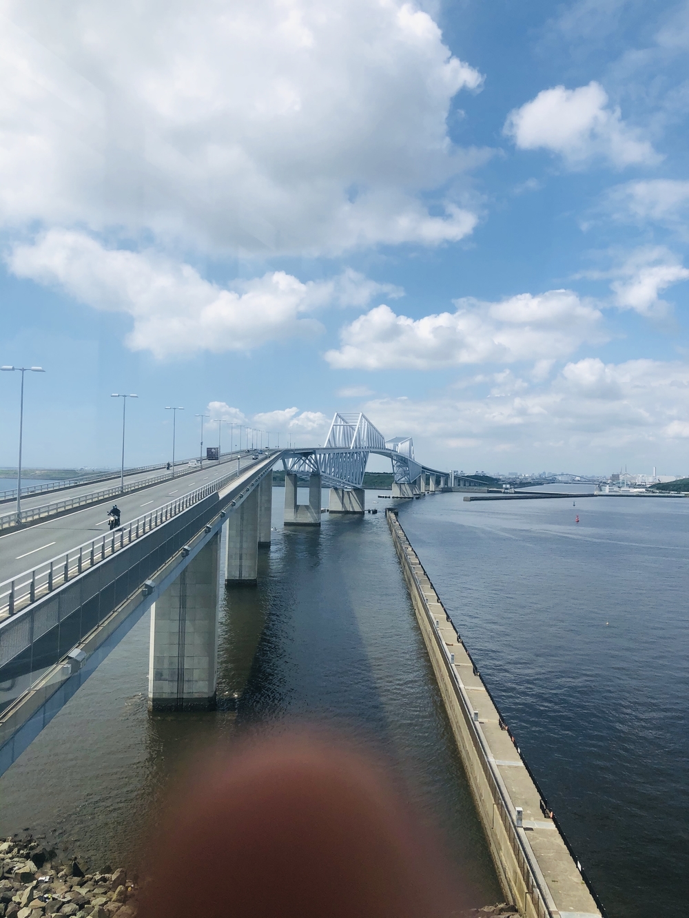 東京ゲートブリッジを渡る絶景ラン（新木場発〜湯処葛西）の写真5