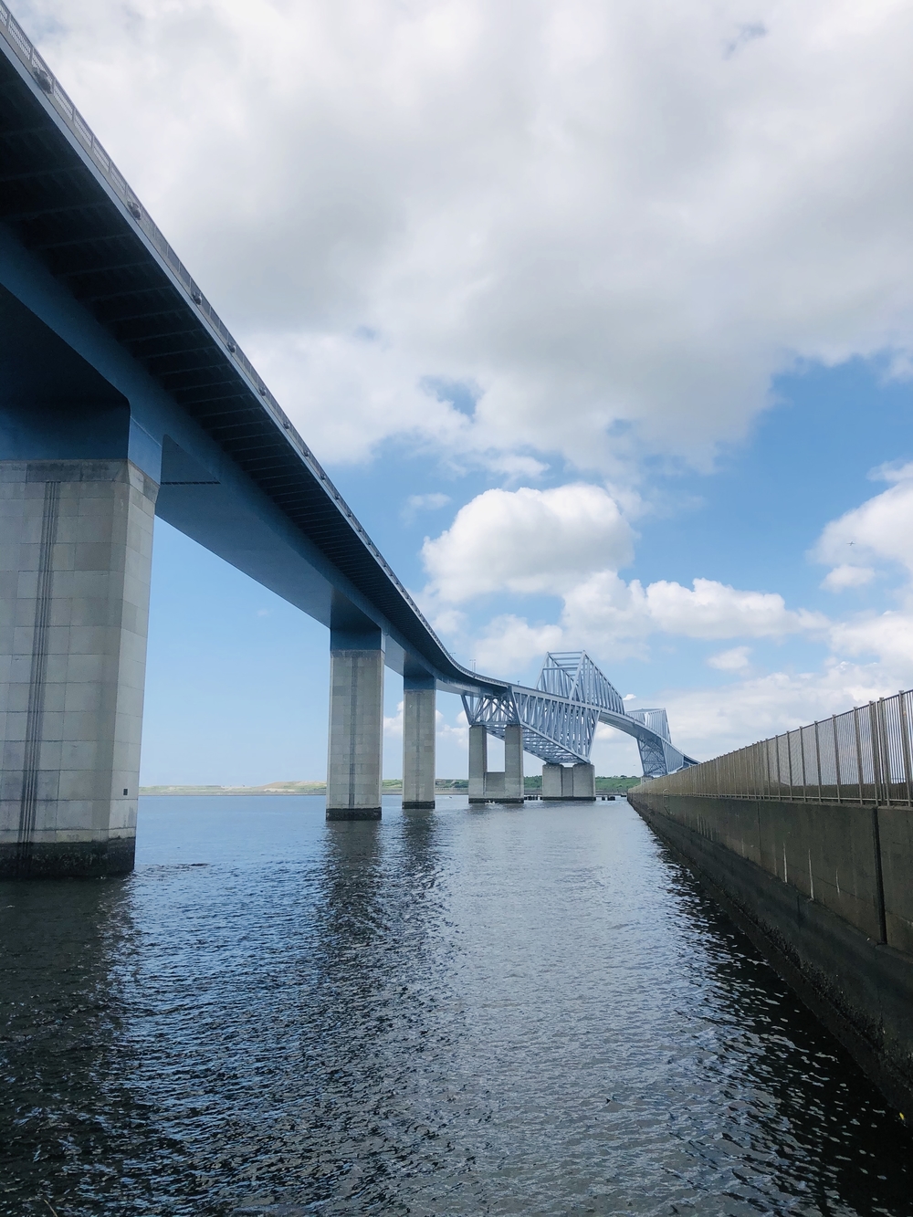 東京ゲートブリッジを渡る絶景ラン（新木場発〜湯処葛西）の写真6