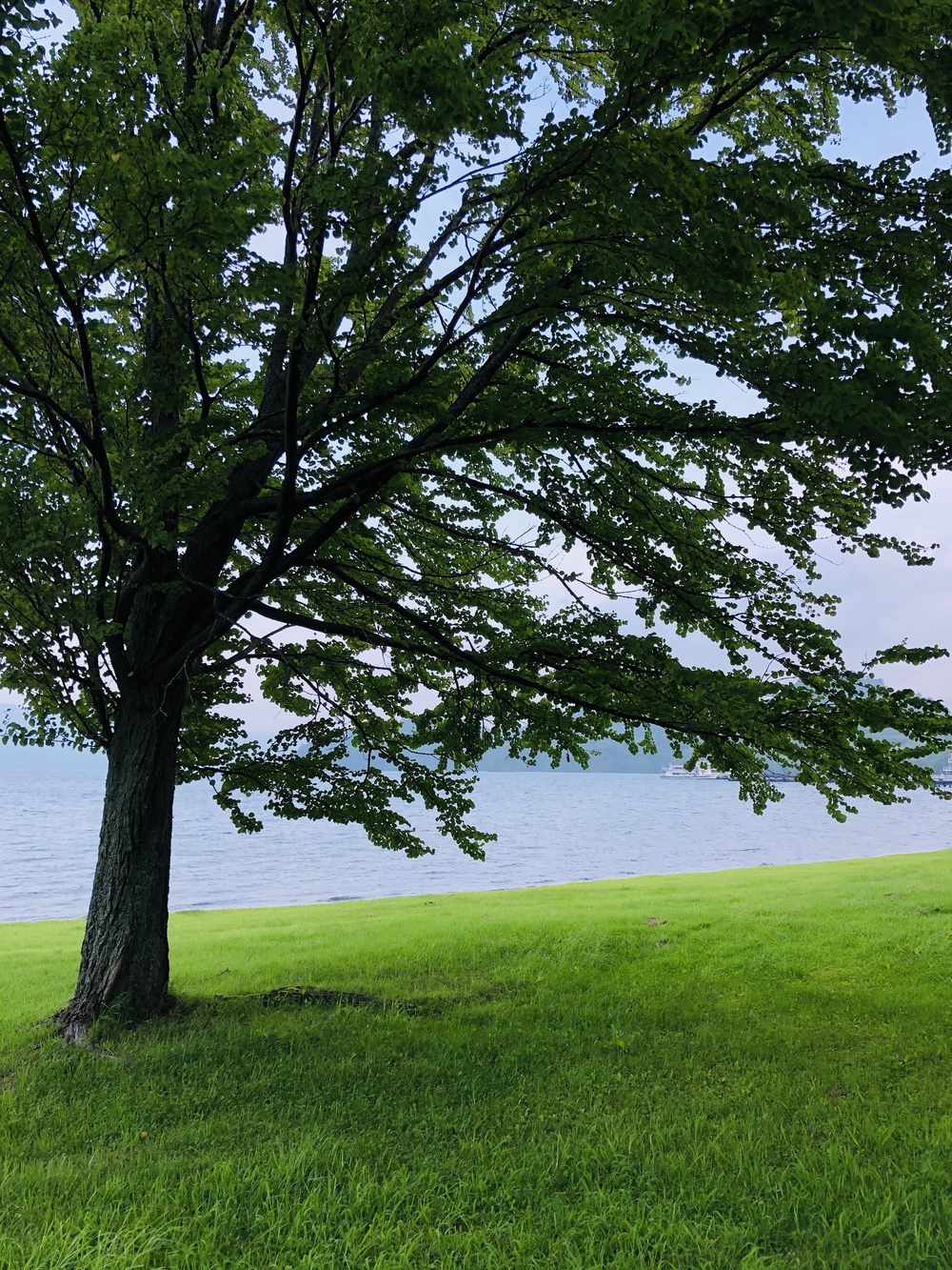 十和田湖の美しい湖面を眺めながら走る観光コースの写真8