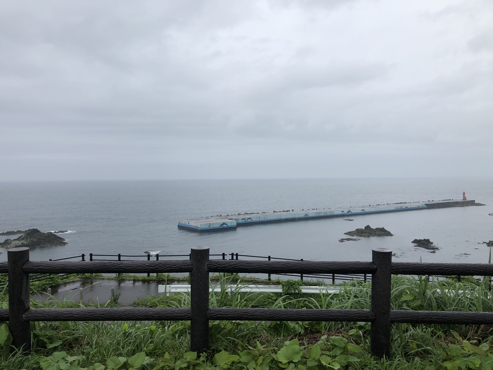 森と海をむすぶ川 : 沿岸域再生のために 森と海をむすぶ川: 沿岸域再生のために | 向井 宏, 京都大学