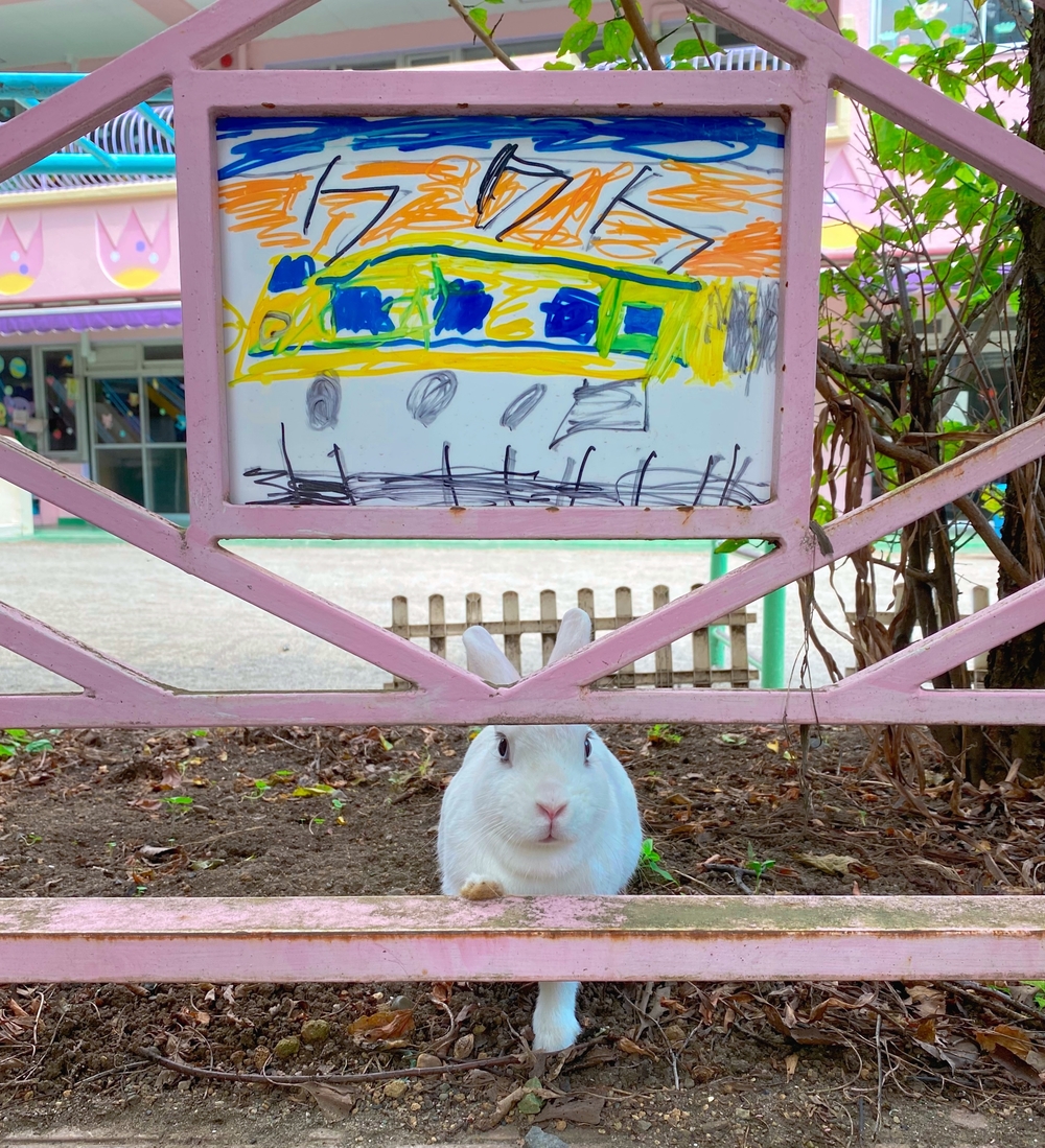 神も仏もFriend&Pieceな文京から北へコースの写真7