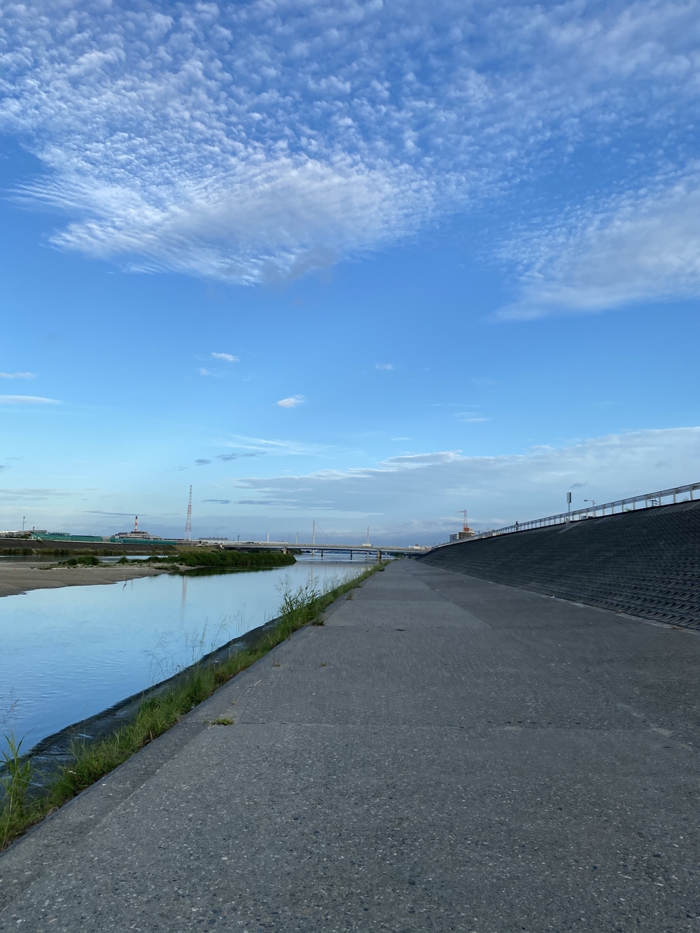大和川河川敷。かもめ大橋まで。の写真3