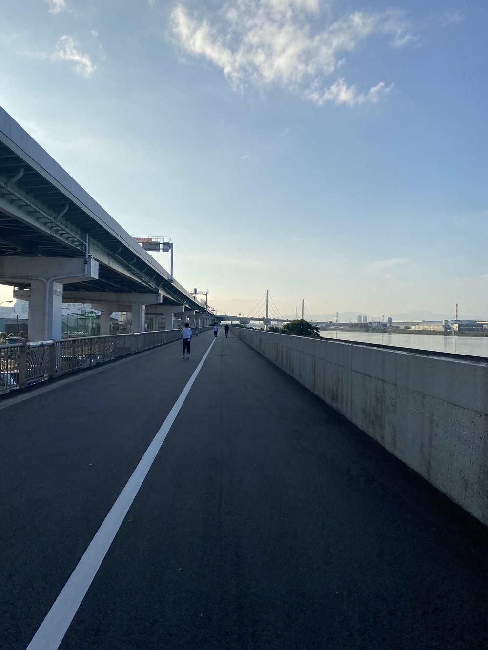 大和川河川敷。かもめ大橋まで。の写真4