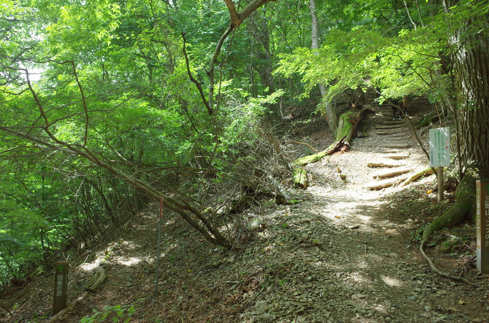 檜原都民の森：三頭山トレイルランニングの写真3
