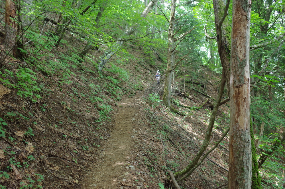 檜原都民の森：三頭山トレイルランニングの写真4