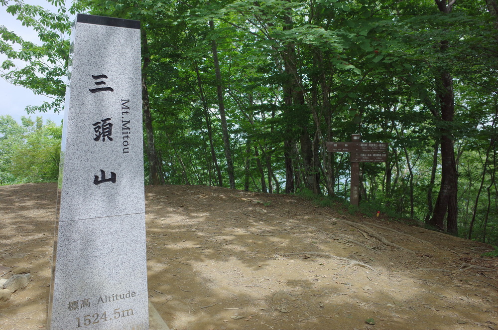 檜原都民の森：三頭山トレイルランニングの写真6