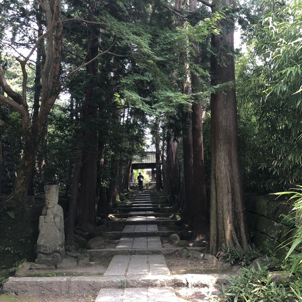 銭洗弁財天〜鎌倉アルプス　ハイキングの写真4