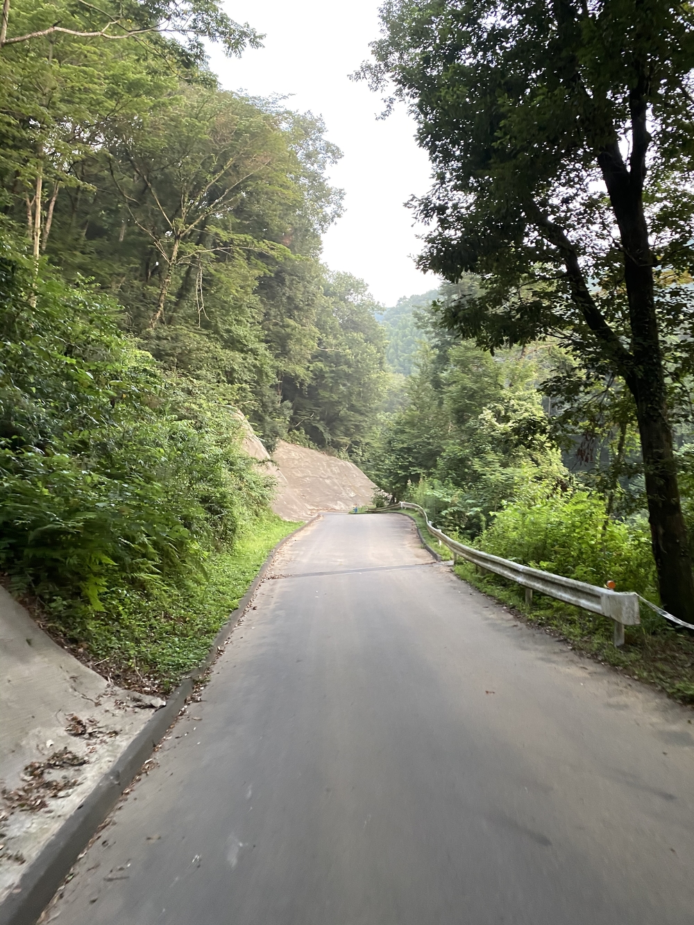 街道をゆくシリーズ（２）甲州街道小原宿の写真3