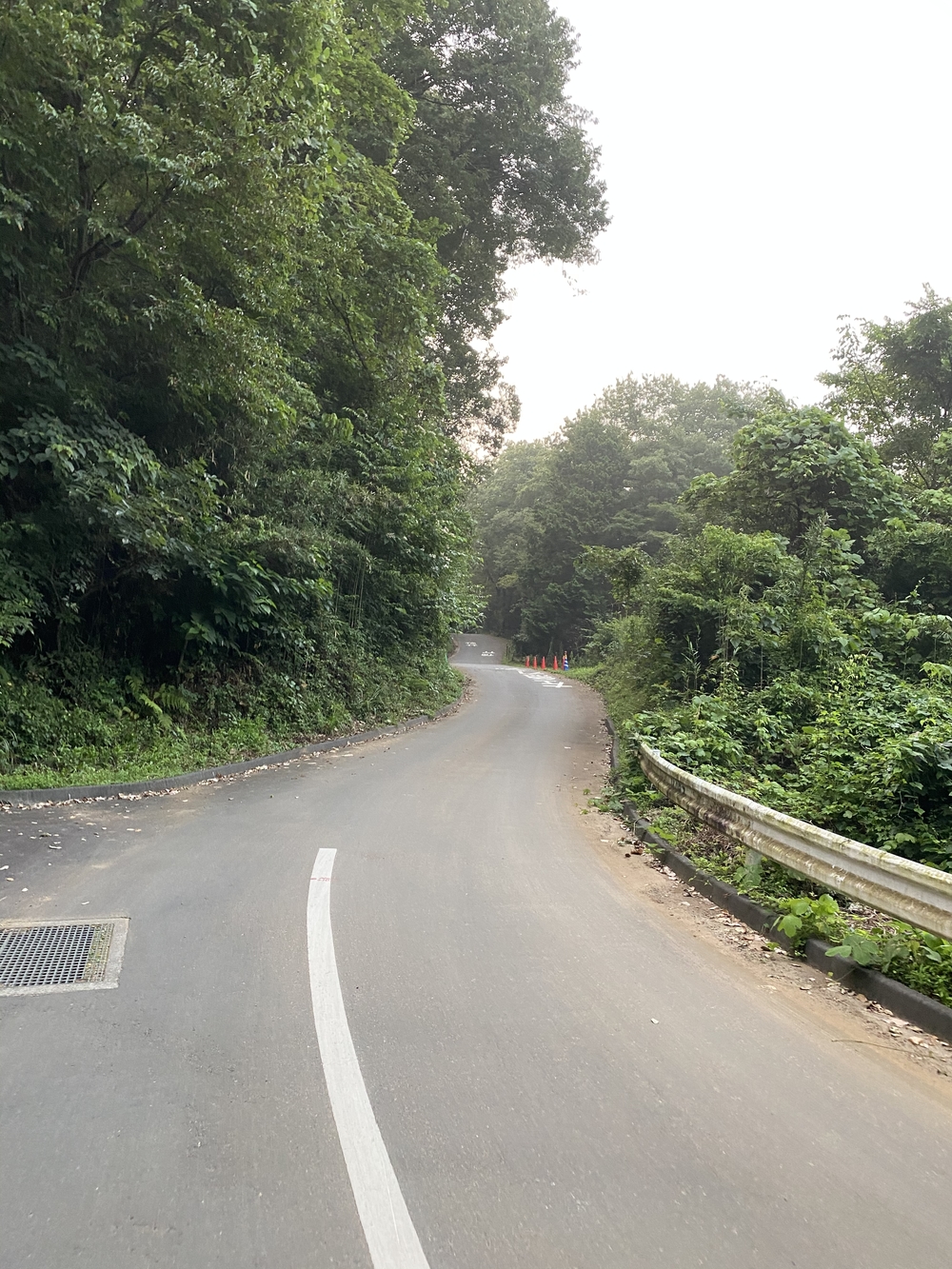 街道をゆくシリーズ（２）甲州街道小原宿の写真4