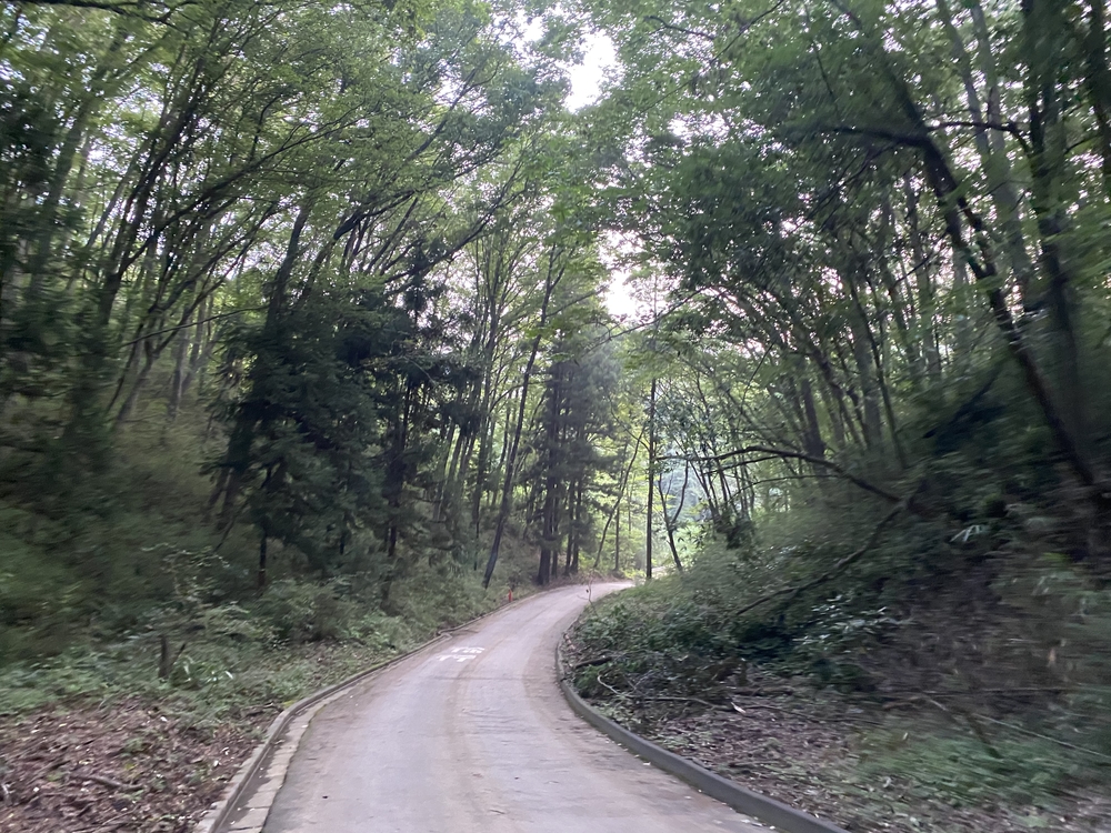 街道をゆくシリーズ（２）甲州街道小原宿の写真5