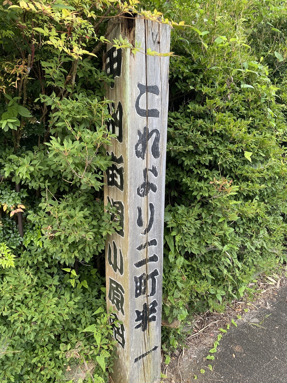 街道をゆくシリーズ（２）甲州街道小原宿の写真16