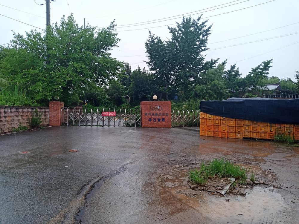 韓国　チョナン　貯水池まで行ってみたが行き止まりの写真7