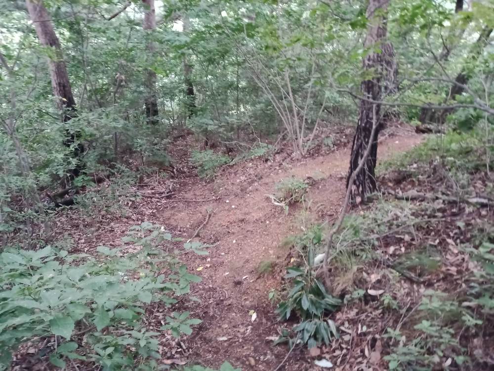 韓国　チョナン　黒城山へ向かうが断念の写真4