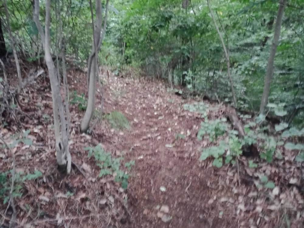 韓国　チョナン　黒城山へ向かうが断念の写真5