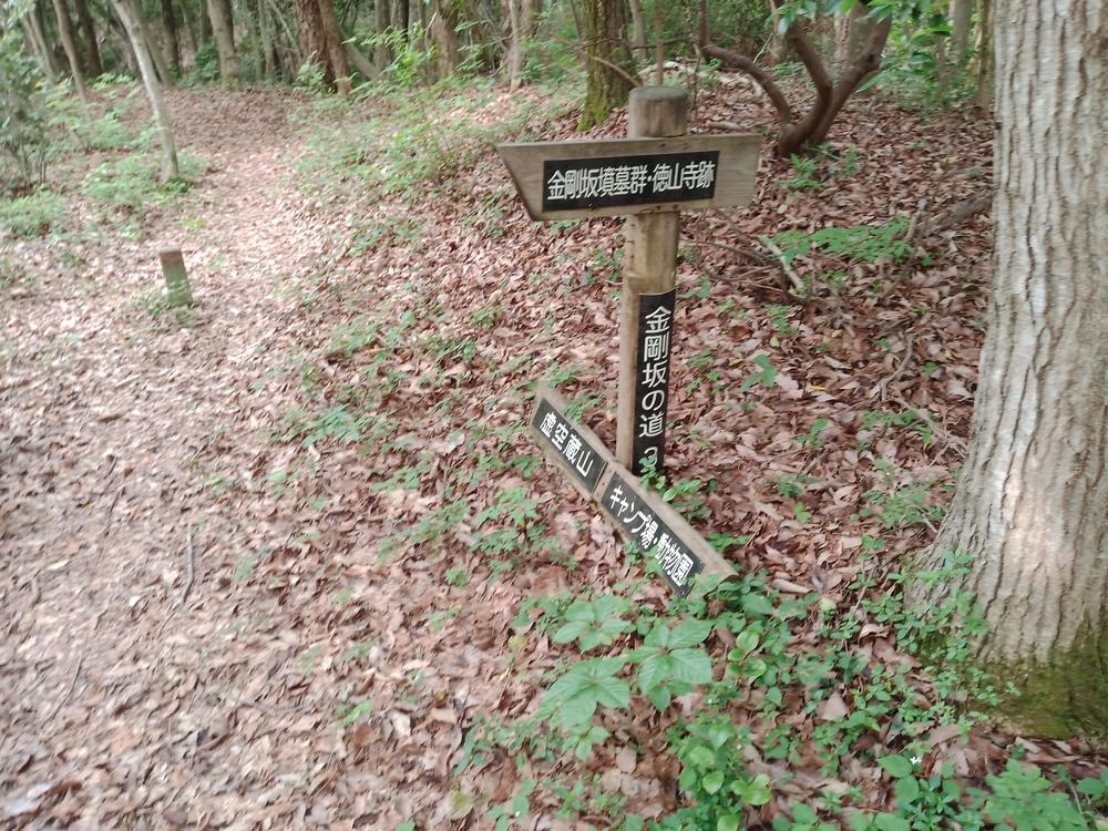 石川県　能美市　里山　虚空蔵山の写真5