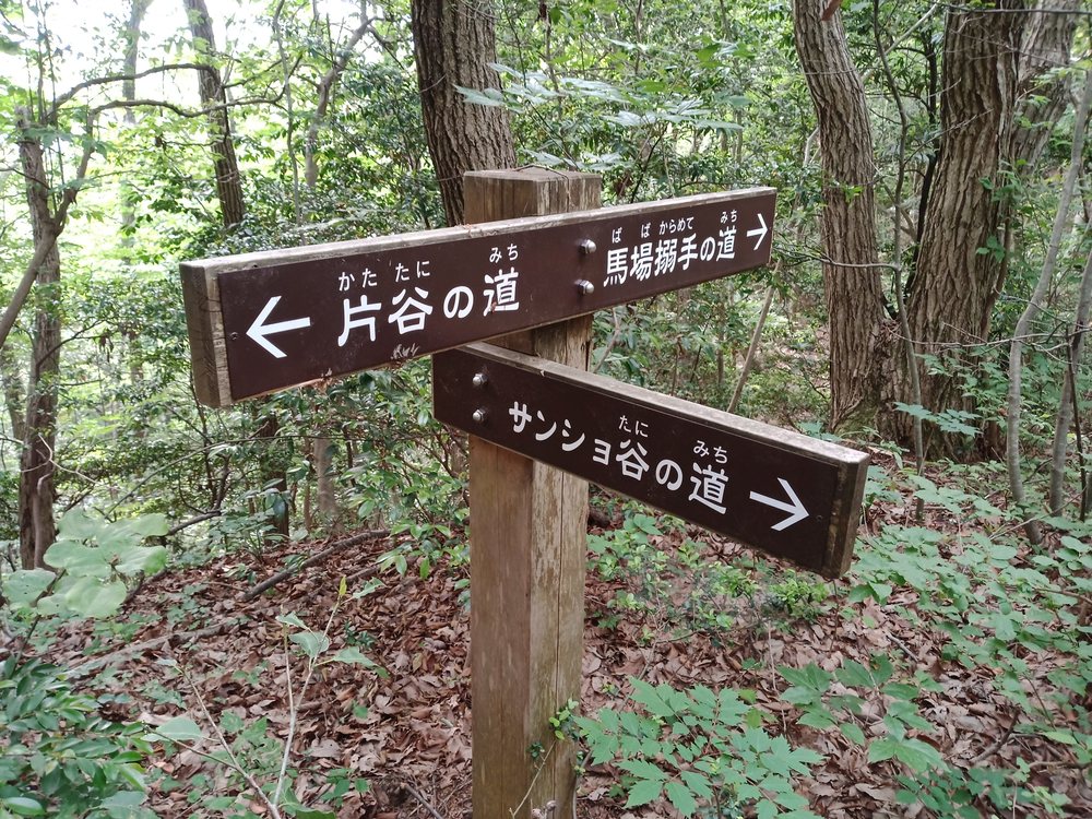 石川県　能美市　里山　虚空蔵山の写真7