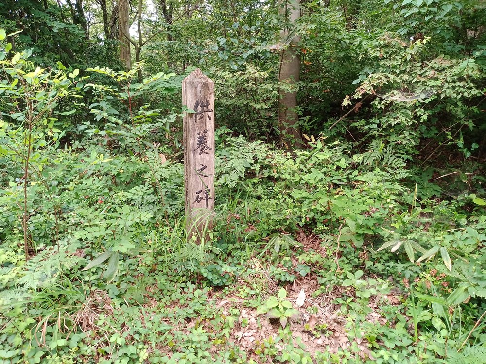 石川県　能美市　里山　虚空蔵山の写真11