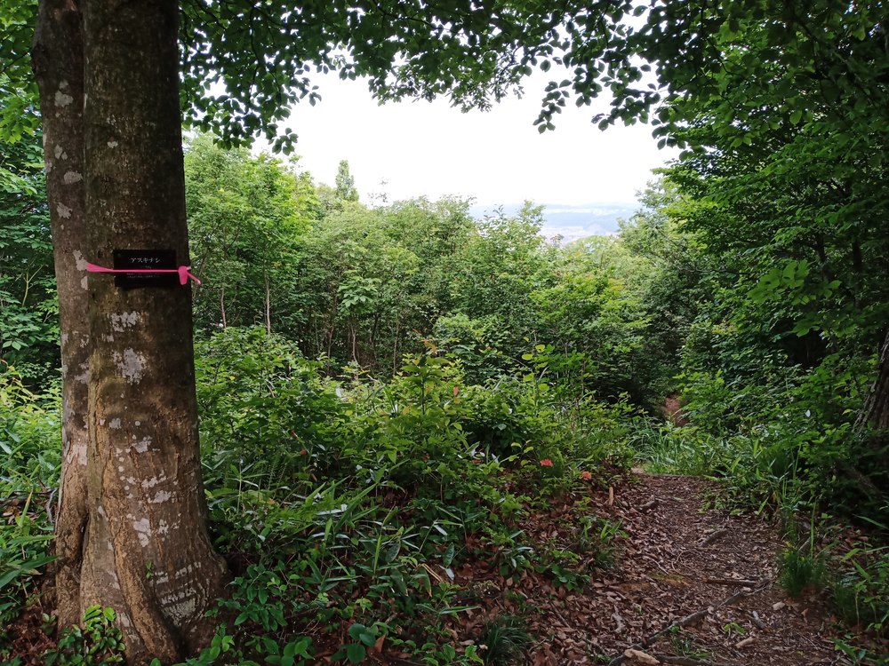 石川県　能美市　里山　虚空蔵山の写真14