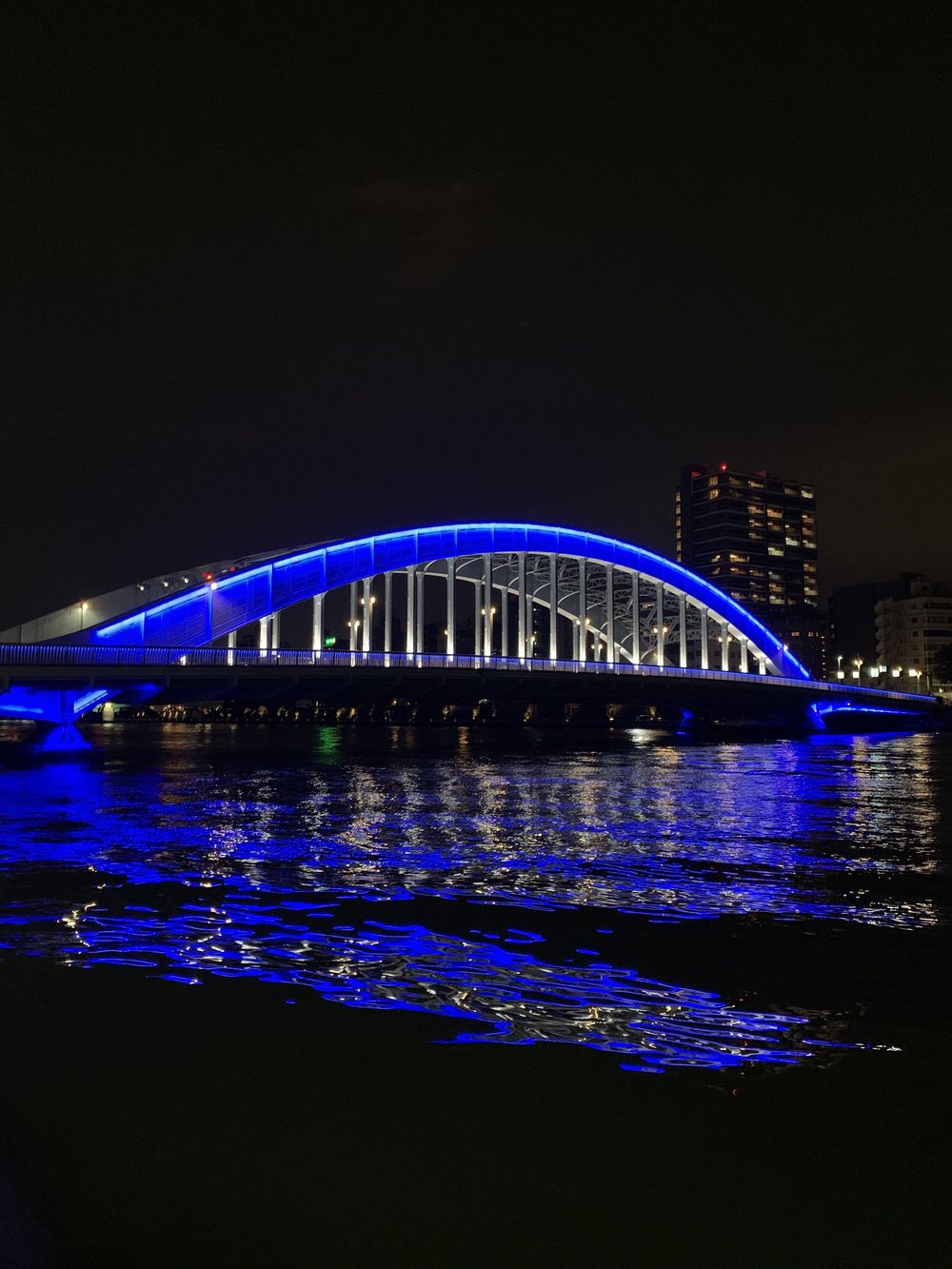 歌川広重と共にRUN 新川の写真4