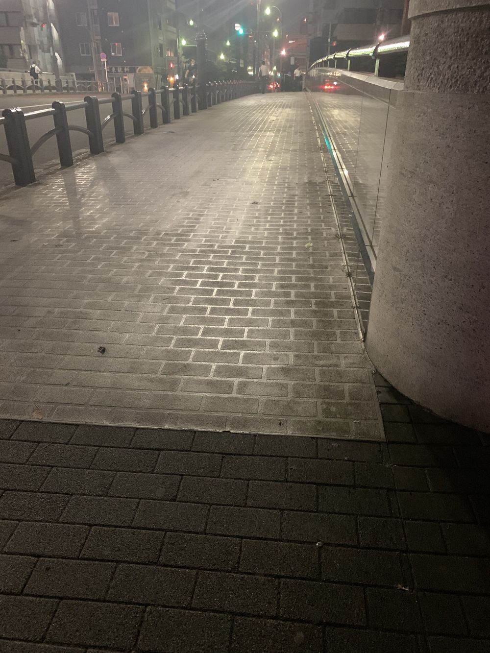 歌川広重と共にRUN 新川の写真6