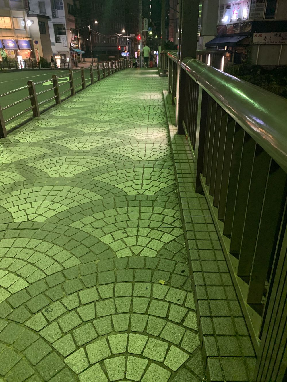 歌川広重と共にRUN 新川の写真8