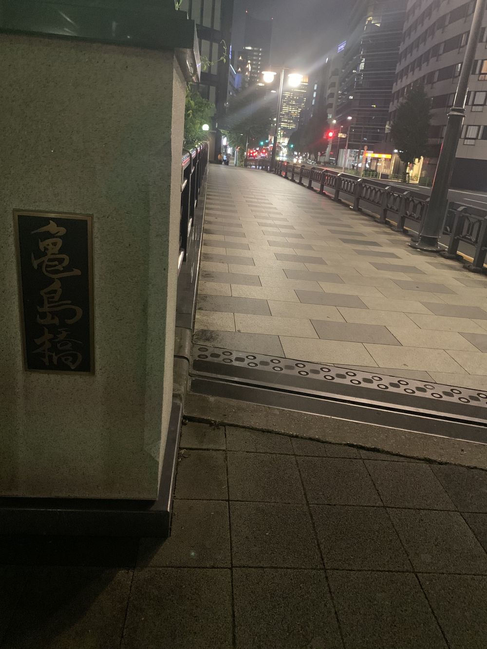 歌川広重と共にRUN 新川の写真9