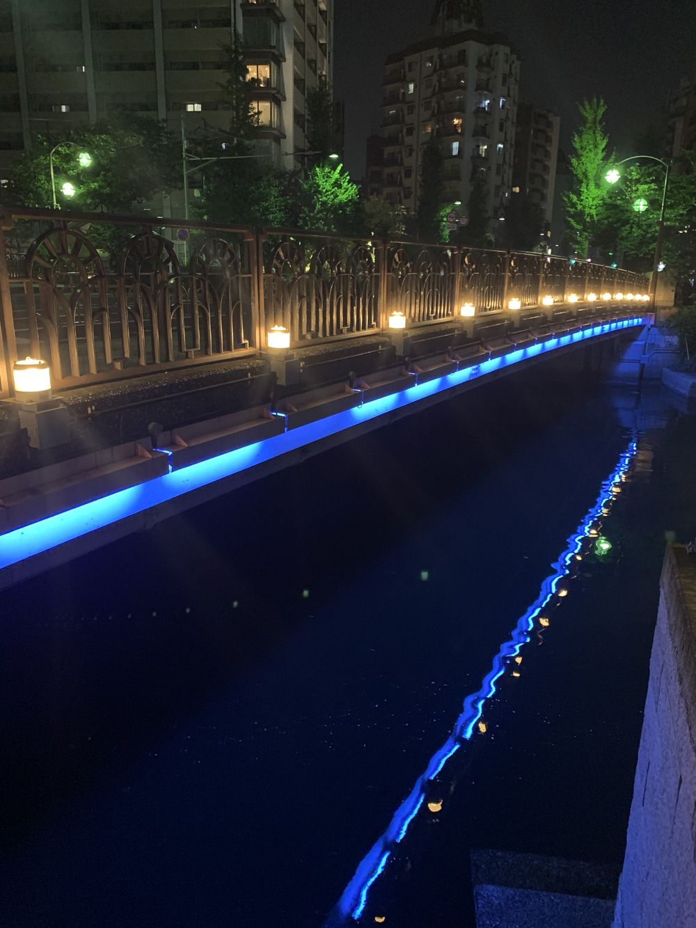 歌川広重と共にRUN 新川の写真10