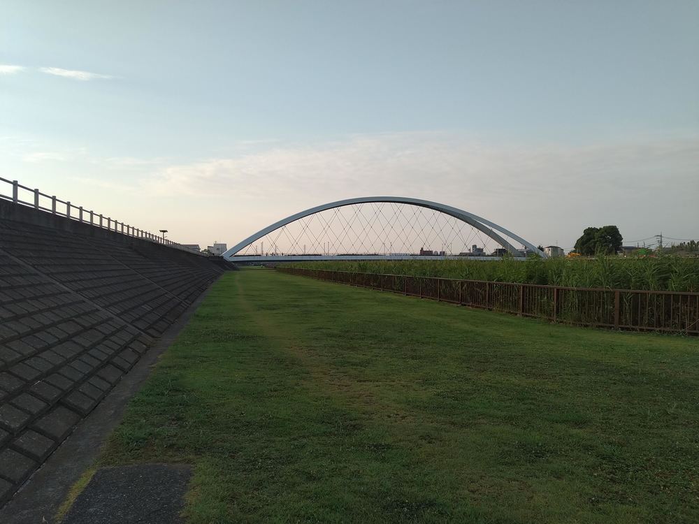 新中川　一周の写真3