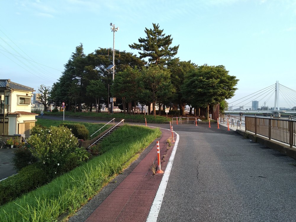 新中川　一周の写真5