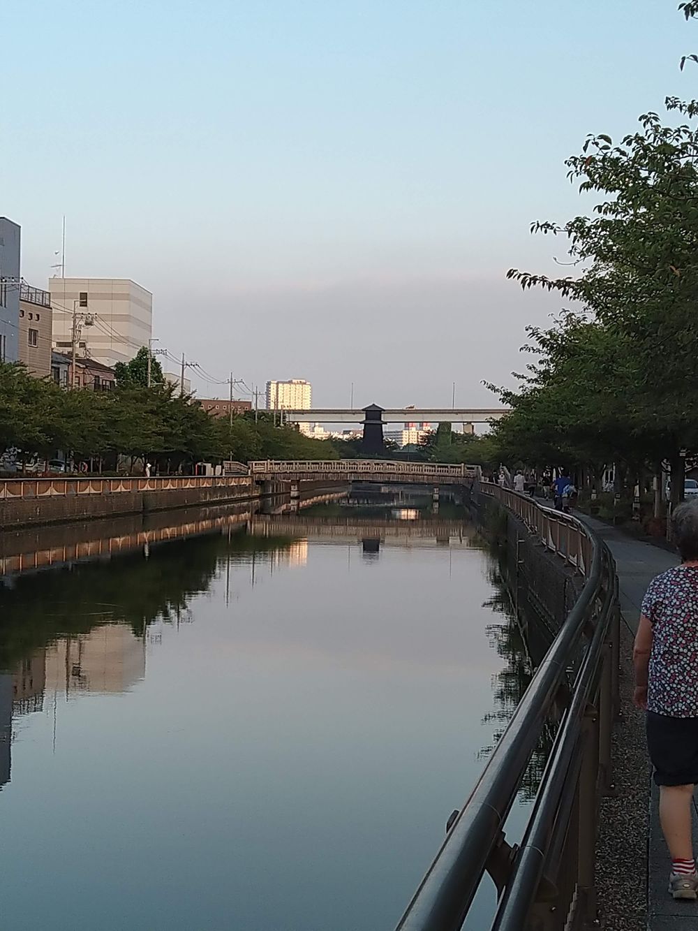 江戸川区　川沿い＆公園　ランの写真3