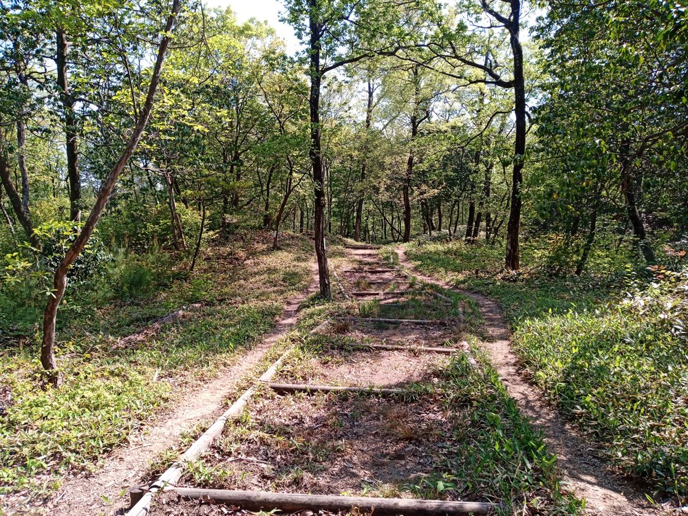 石川県小松市　憩いの森公園　絆の森の写真3
