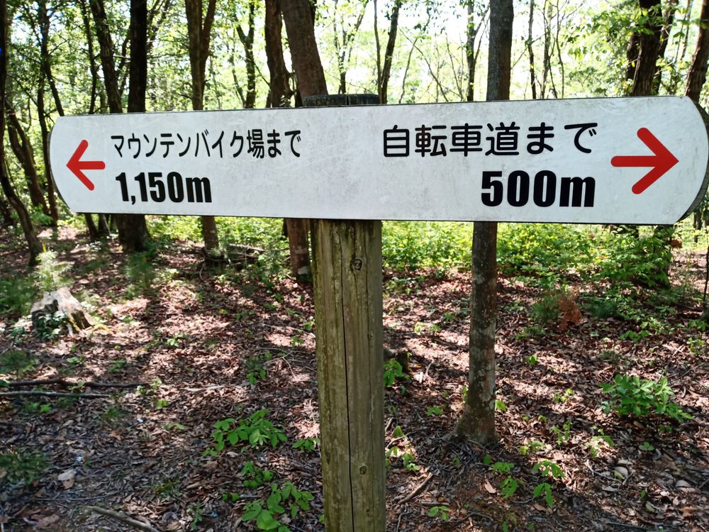 石川県小松市　憩いの森公園　絆の森の写真5