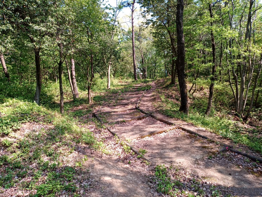 石川県小松市　憩いの森公園　絆の森の写真6