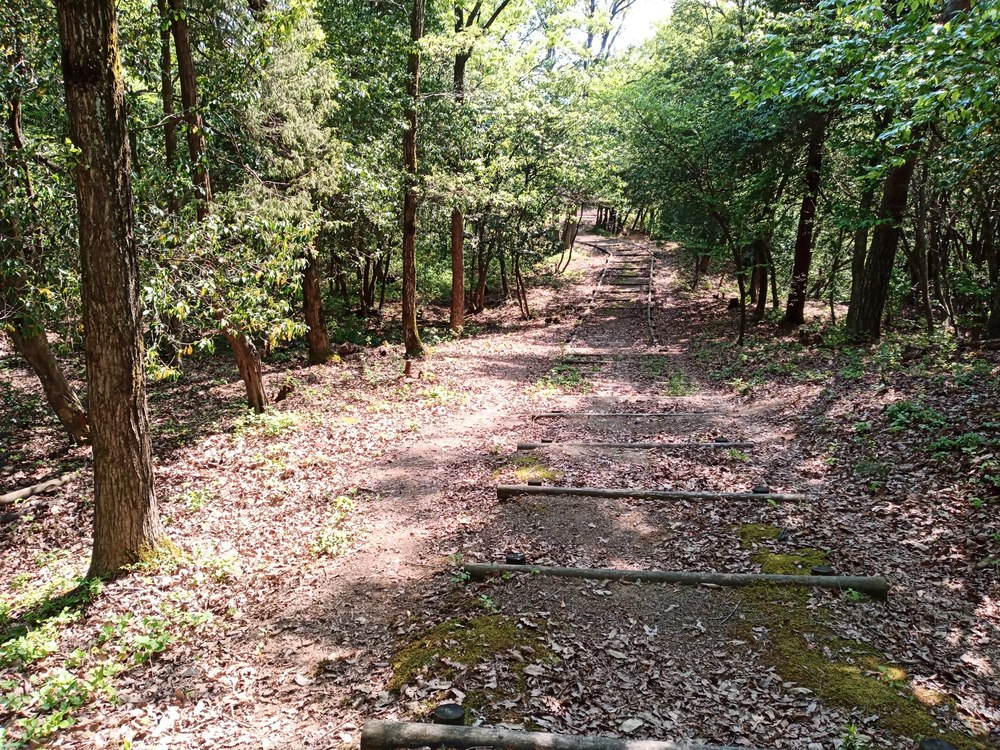 石川県小松市　憩いの森公園　絆の森の写真7