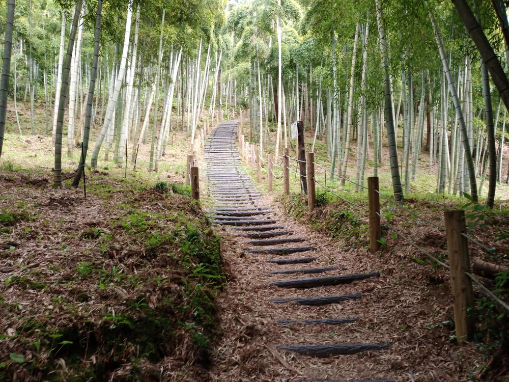 金沢市　額谷ふれあい公園ー石切り場の写真7